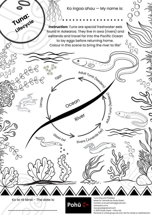 Tuna Lifecycle Colouring-In Pohū printable