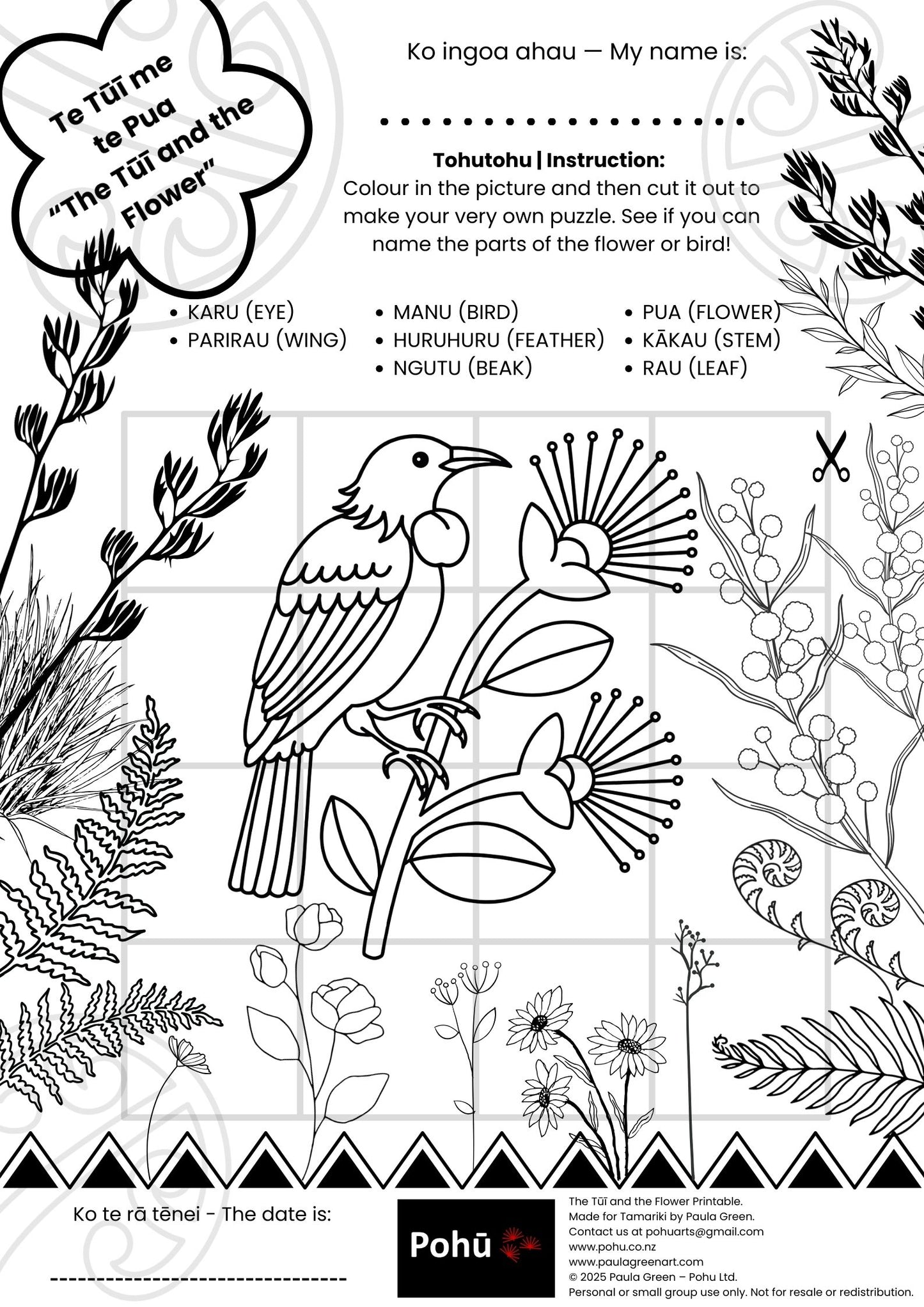 Te Tūī me te Pua Pohū printable