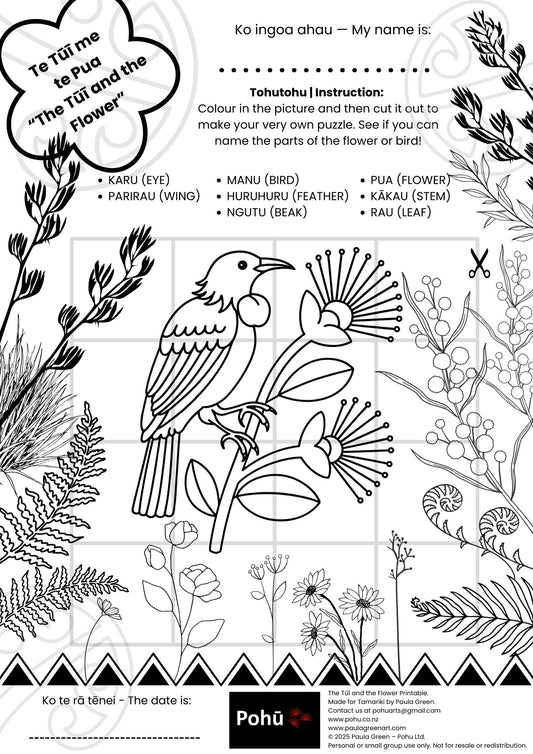 Te Tūī  me te Pua Pohū printable